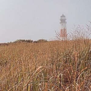 Meet Your Posher — The Closet Narrative